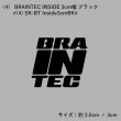 画像6: Braintec GHOST カッティングステッカー  ※商品合計税込2200円以上購入、クリックポスト選択で送料無料※［ブレインテックステッカー / ゴーストステッカー］ (6)