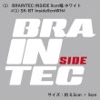 画像3: Braintec GHOST カッティングステッカー  ※商品合計税込2200円以上購入、クリックポスト選択で送料無料※［ブレインテックステッカー / ゴーストステッカー］ (3)