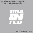 画像5: Braintec GHOST カッティングステッカー  ※商品合計税込2200円以上購入、クリックポスト選択で送料無料※［ブレインテックステッカー / ゴーストステッカー］ (5)