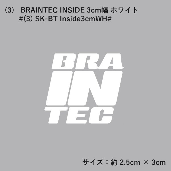 画像5: Braintec GHOST カッティングステッカー  ※商品合計税込2200円以上購入、クリックポスト選択で送料無料※［ブレインテックステッカー / ゴーストステッカー］ (5)