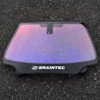 画像3: B品特価 Braintec AR89(ROSE3) ローズ ゴーストIII 1m幅×長さ1m単位切売   ストラクチュラル89  #AR89(ROSE3)39.5C# (3)