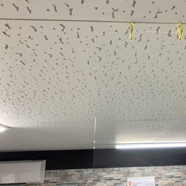 画像4: 飛沫防止シートフィルム 幅1mx長さ30mロール箱売 1m@330円 【ウィルス対策 ローコスト 使い捨て 透明 間仕切り パーテーション】 (4)