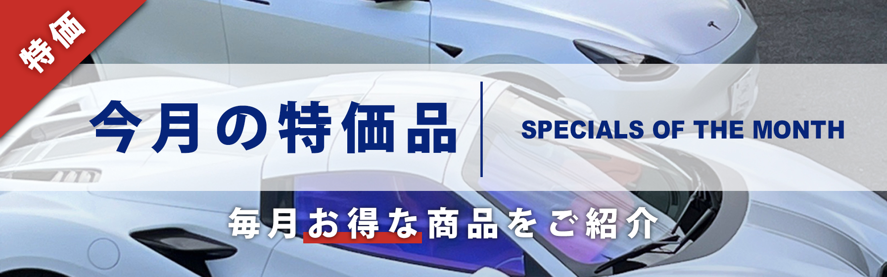 今月の特価品